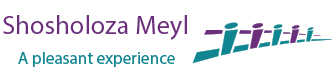 Shosholoza Meyl logo